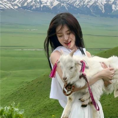 丁丁历险记